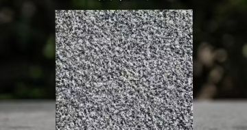 鞍山 芝麻黑荔枝面