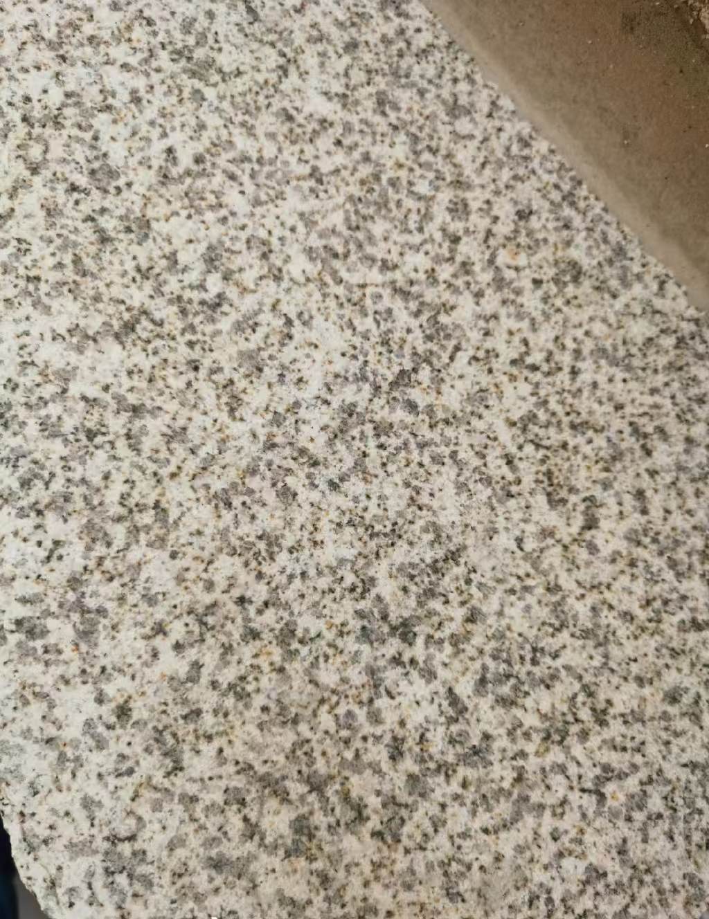 鞍山 黄金麻中黄光面